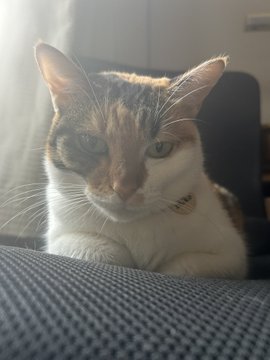 Mike playing with a toy